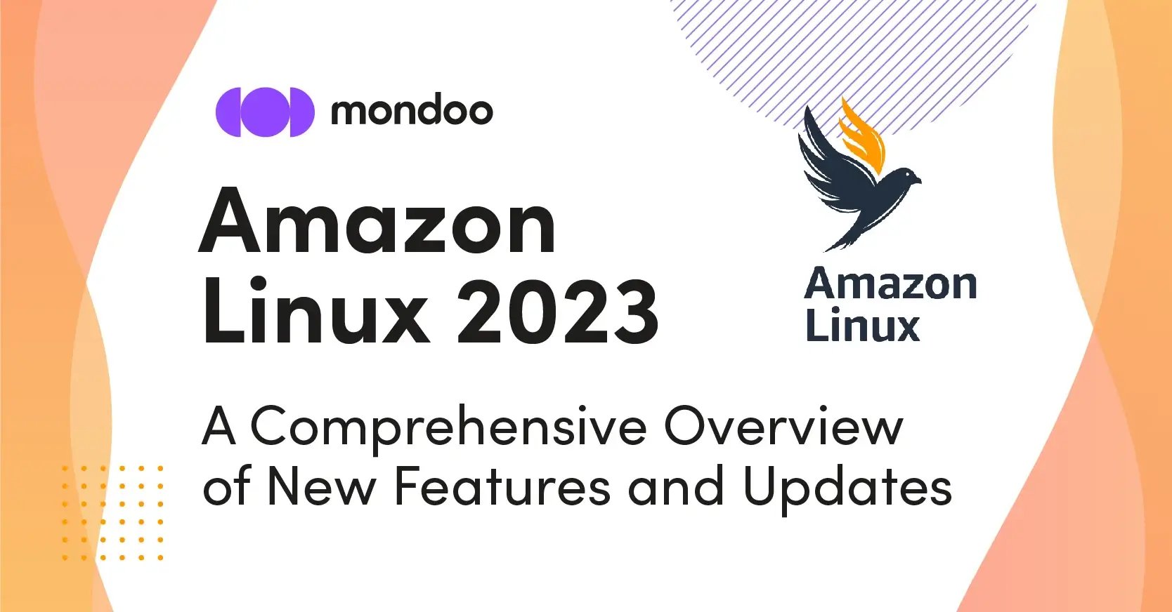 Mondoo_graphics_Amazon Linux 2023-02