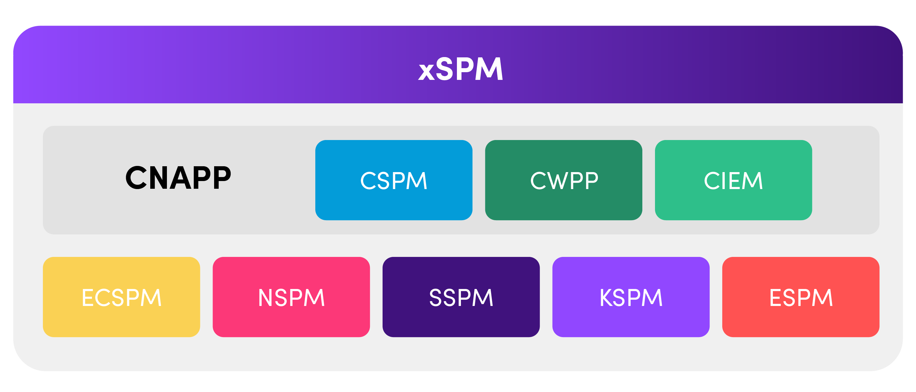 xSPM components